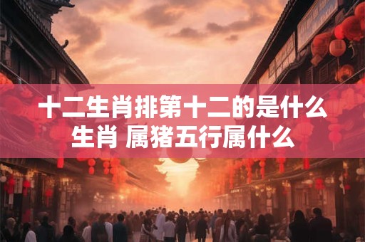 十二生肖排第十二的是什么生肖 属猪五行属什么