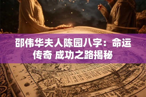 邵伟华夫人陈园八字：命运传奇 成功之路揭秘