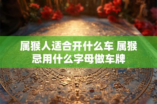 属猴人适合开什么车 属猴忌用什么字母做车牌