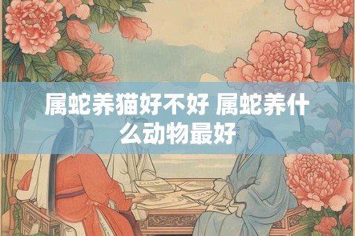 属蛇养猫好不好 属蛇养什么动物最好
