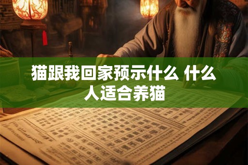 猫跟我回家预示什么 什么人适合养猫