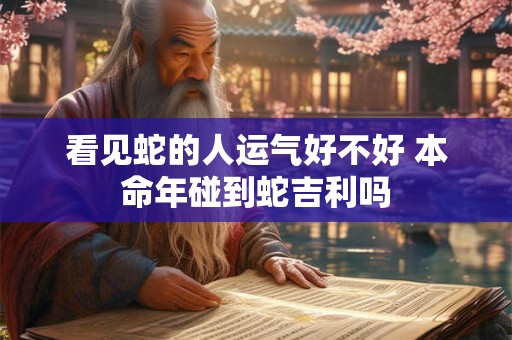 看见蛇的人运气好不好 本命年碰到蛇吉利吗