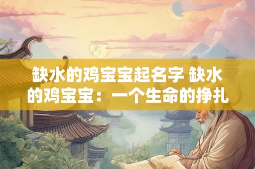缺水的鸡宝宝起名字 缺水的鸡宝宝：一个生命的挣扎与重生