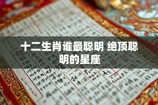 十二生肖谁最聪明 绝顶聪明的星座