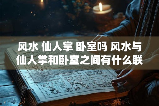 风水 仙人掌 卧室吗 风水与仙人掌和卧室之间有什么联系