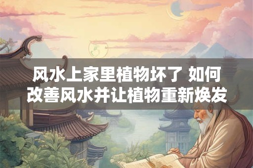 风水上家里植物坏了 如何改善风水并让植物重新焕发生机