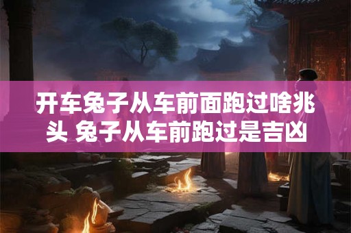 开车兔子从车前面跑过啥兆头 兔子从车前跑过是吉凶