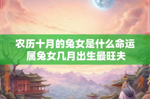 农历十月的兔女是什么命运 属兔女几月出生最旺夫