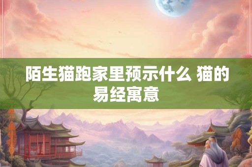 陌生猫跑家里预示什么 猫的易经寓意