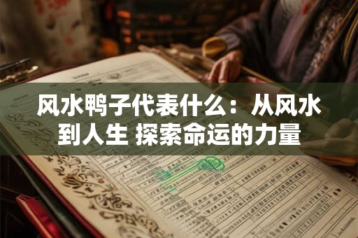 风水鸭子代表什么：从风水到人生 探索命运的力量