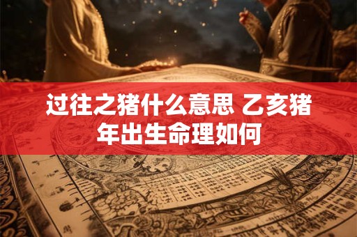 过往之猪什么意思 乙亥猪年出生命理如何