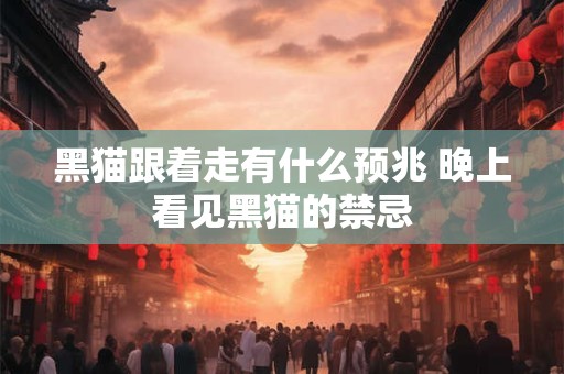黑猫跟着走有什么预兆 晚上看见黑猫的禁忌