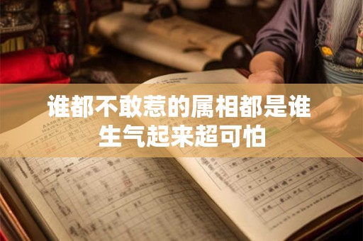 谁都不敢惹的属相都是谁 生气起来超可怕