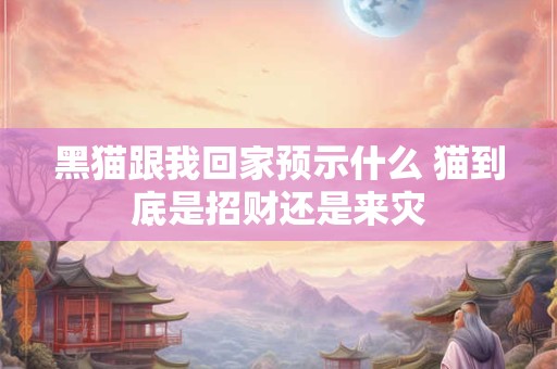 黑猫跟我回家预示什么 猫到底是招财还是来灾