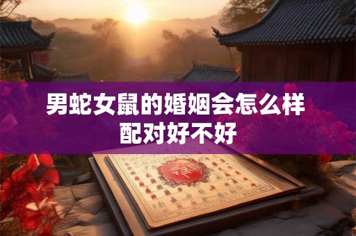 男蛇女鼠的婚姻会怎么样 配对好不好