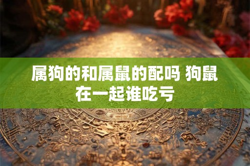 属狗的和属鼠的配吗 狗鼠在一起谁吃亏