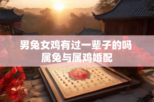 男兔女鸡有过一辈子的吗 属兔与属鸡婚配