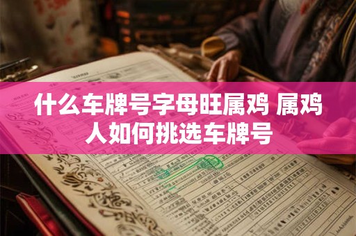 什么车牌号字母旺属鸡 属鸡人如何挑选车牌号
