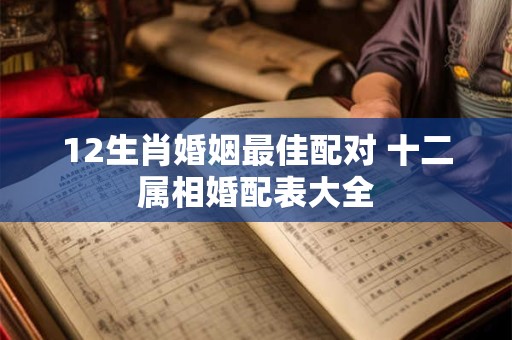 12生肖婚姻最佳配对 十二属相婚配表大全