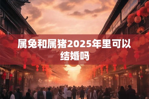 属兔和属猪2025年里可以结婚吗