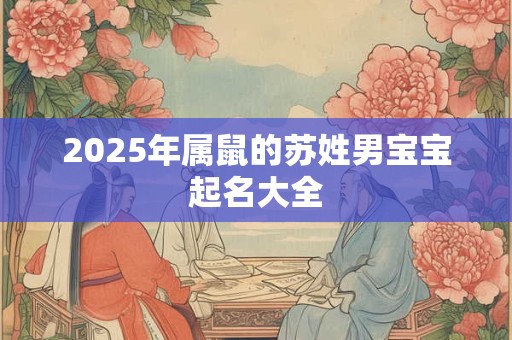 2025年属鼠的苏姓男宝宝起名大全