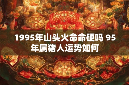 1995年山头火命命硬吗 95年属猪人运势如何
