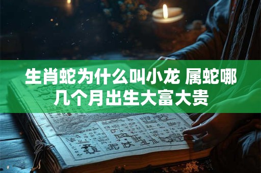 生肖蛇为什么叫小龙 属蛇哪几个月出生大富大贵