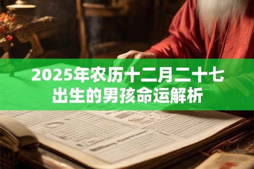 2025年农历十二月二十七出生的男孩命运解析