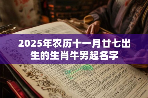 2025年农历十一月廿七出生的生肖牛男起名字 2025年农历十一月廿七出生的生肖牛男起名字