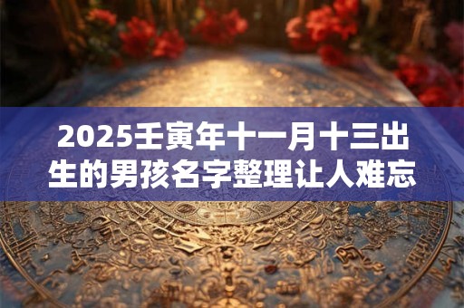 2025壬寅年十一月十三出生的男孩名字整理让人难忘