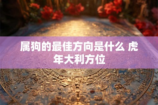 属狗的最佳方向是什么 虎年大利方位