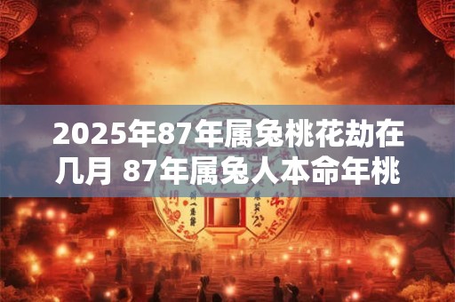 2025年87年属兔桃花劫在几月 87年属兔人本命年桃花劫