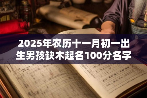 2025年农历十一月初一出生男孩缺木起名100分名字推荐！