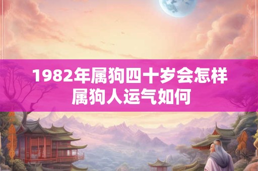1982年属狗四十岁会怎样 属狗人运气如何