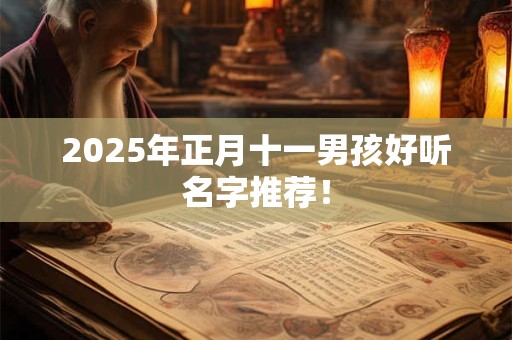 2025年正月十一男孩好听名字推荐！