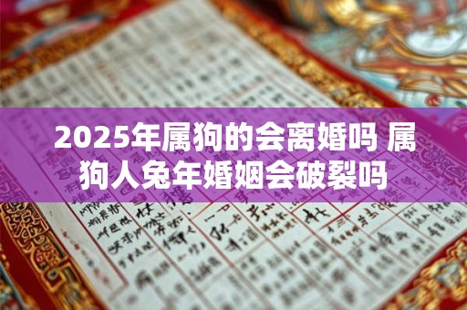 2025年属狗的会离婚吗 属狗人兔年婚姻会破裂吗