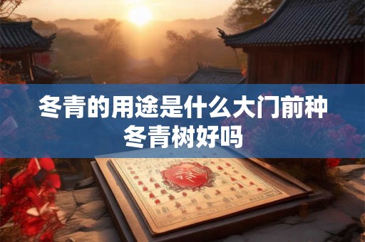 冬青的用途是什么大门前种冬青树好吗