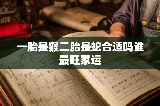 一胎是猴二胎是蛇合适吗谁最旺家运