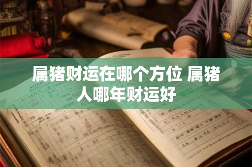 属猪财运在哪个方位 属猪人哪年财运好