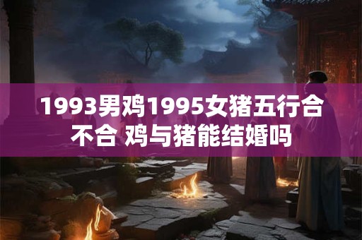 1993男鸡1995女猪五行合不合 鸡与猪能结婚吗