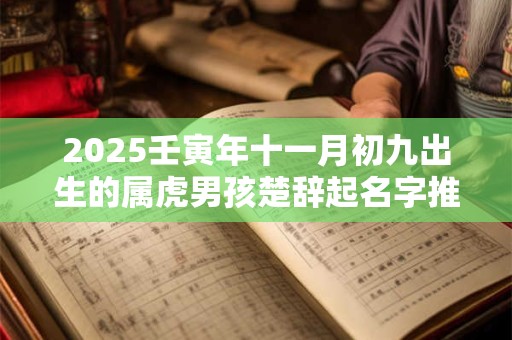 2026壬寅年十一月初九出生的属虎男孩楚辞起名字推荐
