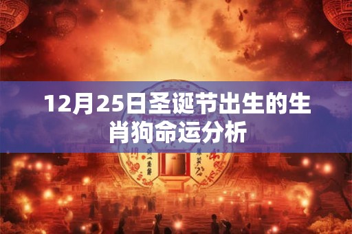 12月25日圣诞节出生的生肖狗命运分析 12月25日圣诞节出生的生肖狗命运分析