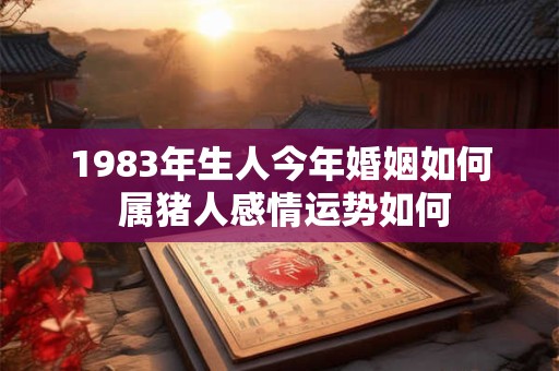 1983年生人今年婚姻如何 属猪人感情运势如何