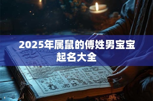 2025年属鼠的傅姓男宝宝起名大全