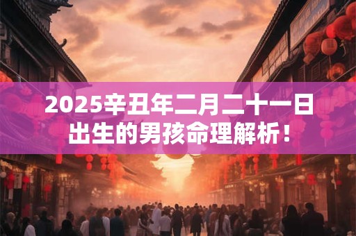 2025辛丑年二月二十一日出生的男孩命理解析！