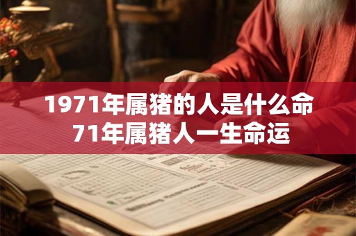 1971年属猪的人是什么命 71年属猪人一生命运