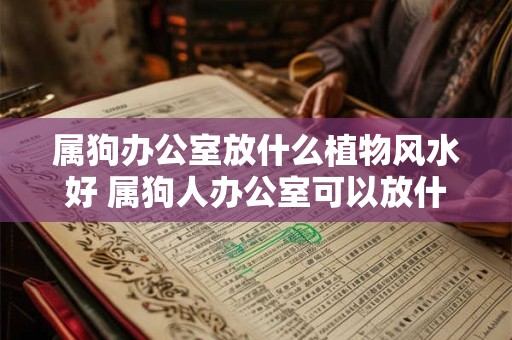 属狗办公室放什么植物风水好 属狗人办公室可以放什么