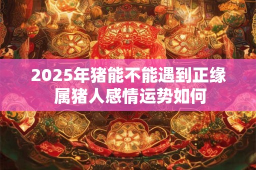 2025年猪能不能遇到正缘 属猪人感情运势如何
