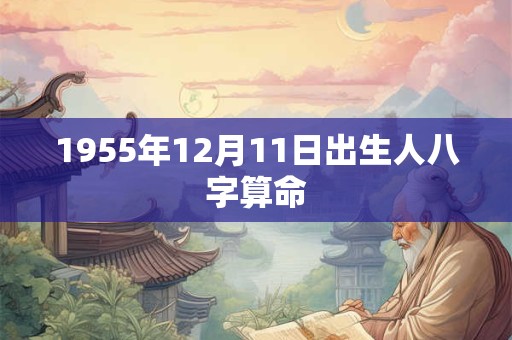 1955年12月11日出生人八字算命