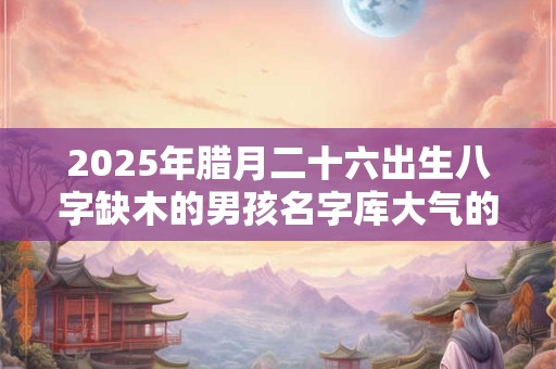 2026年腊月二十六出生八字缺木的男孩名字库大气的